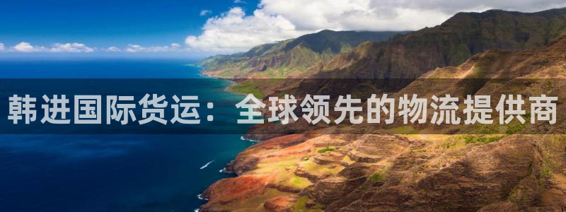 尊龙凯时网站赌愽是真的吗：韩进国际货运：全球领先的物流提