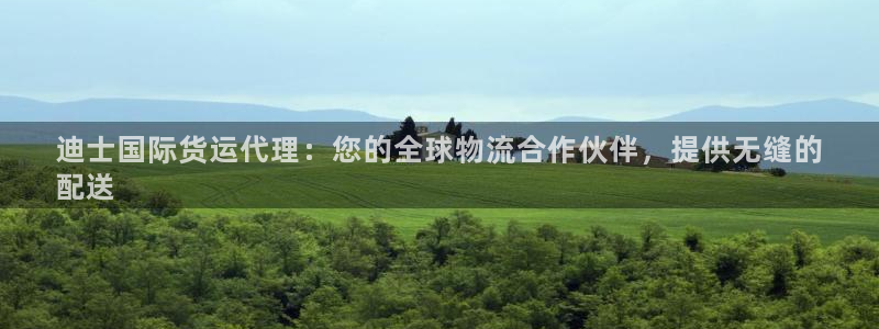 尊龙凯时法充十万返现多少：迪士国际货运代理：您的全球物流