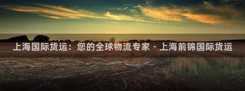 z6com尊龙：上海国际货运：您的全球物流专家 - 上海
