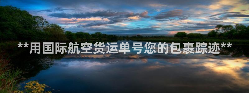 尊龙凯时麻将胡了：**用国际航空货运单号您的包裹踪迹**