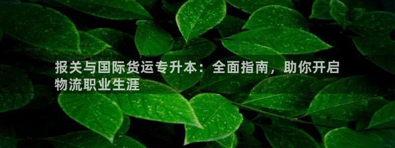 尊龙app最新版本官网：报关与国际货运专升本：全面指南，