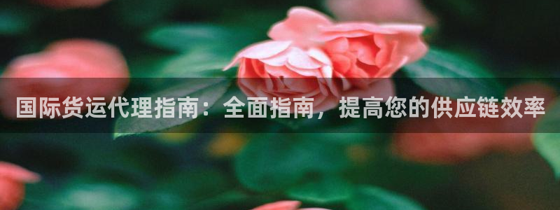 尊龙Ag：国际货运代理指南：全面指南，提高您的供应链效率