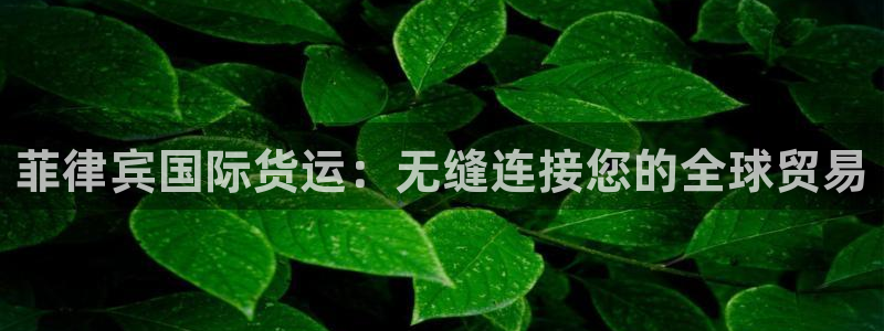 尊龙会ktv价格：菲律宾国际货运：无缝连接您的全球贸易