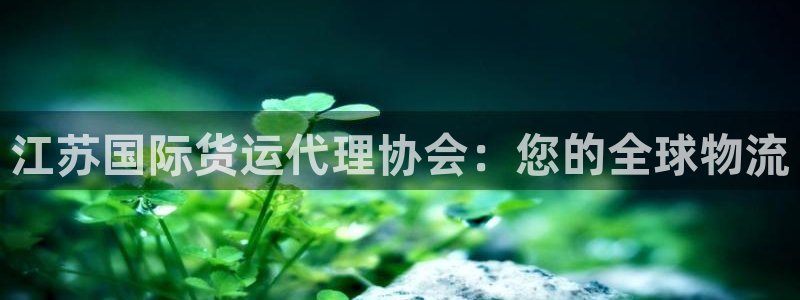 尊龙游戏官方网：江苏国际货运代理协会：您的全球物流