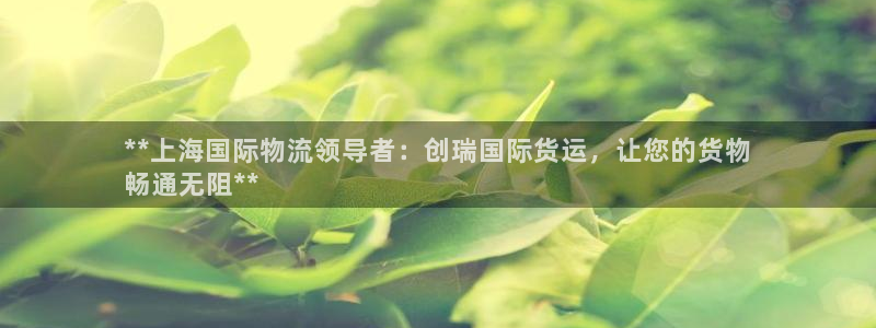 尊龙光学怎么样：**上海国际物流领导者：创瑞国际货运，让