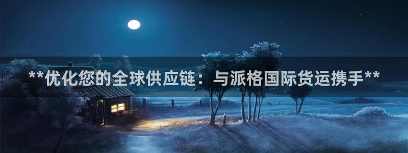尊龙凯时提不了款：**优化您的全球供应链：与派格国际货运