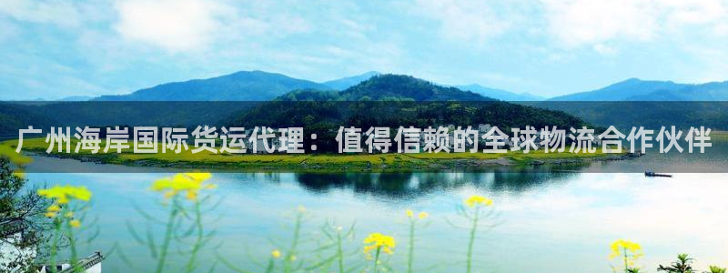 尊龙下载推荐网站：广州海岸国际货运代理：值得信赖的全球物