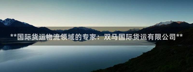 尊龙凯时 人生就是搏首页：**国际货运物流领域的专家：双