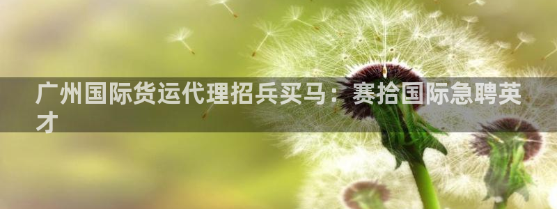 尊龙 am i blue：广州国际货运代理招兵买马：赛拾
