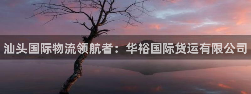 尊龙人生就是博：汕头国际物流领航者：华裕国际货运有限公司