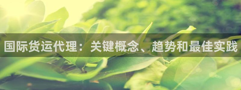 尊龙游戏中心：国际货运代理：关键概念、趋势和最佳实践