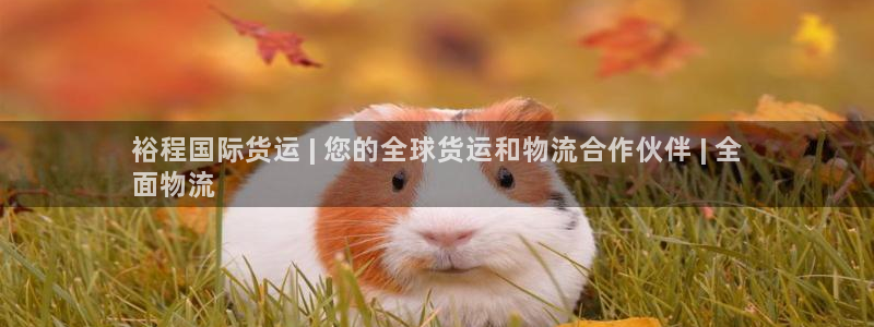 尊龙凯时人生就是搏首页：裕程国际货运 | 您的全球货运和