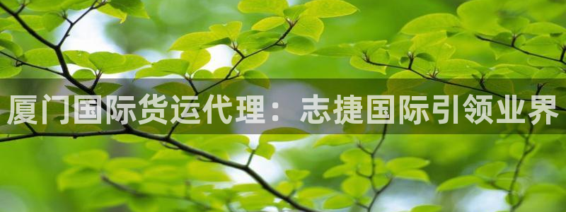 尊龙app怎么样