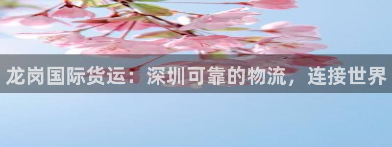 尊龙凯时麻将胡了：龙岗国际货运：深圳可靠的物流，连接世界