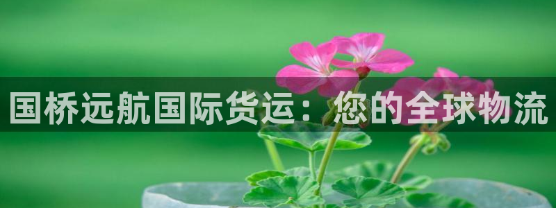 尊龙网页：国桥远航国际货运：您的全球物流