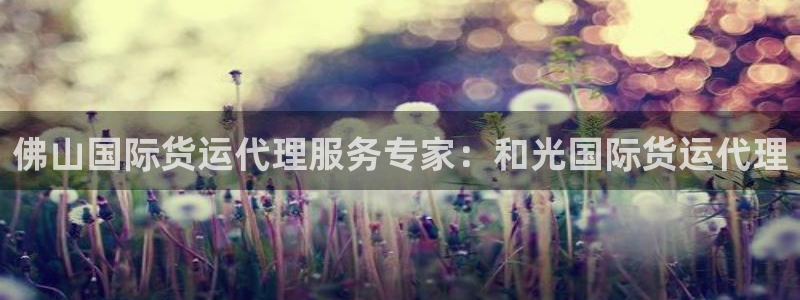 百度一下尊龙