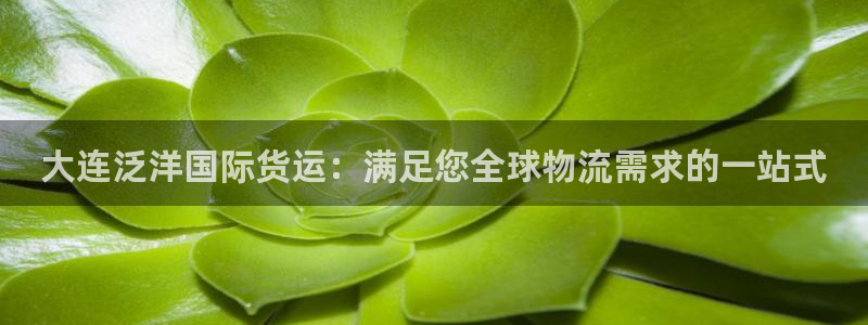 尊龙人生就是博一下下：大连泛洋国际货运：满足您全球物流需