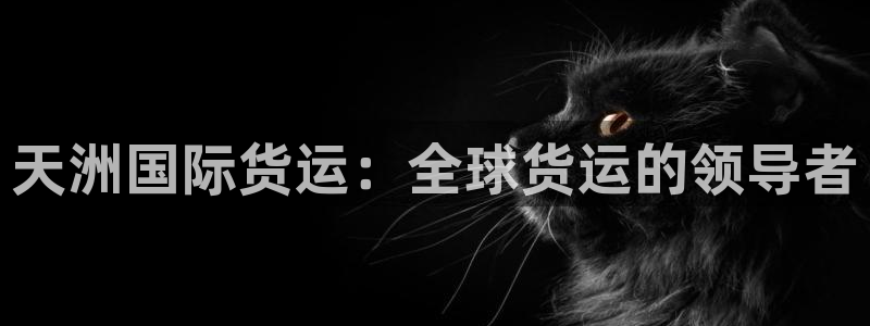 尊龙凯时 人生就是搏!平台：天洲国际货运：全球货运的领导