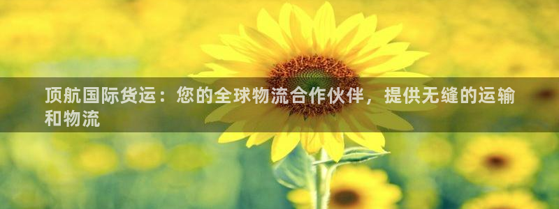 尊龙信息科技有限公司