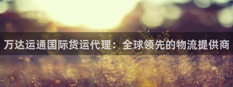 尊龙凯时官方网页：万达运通国际货运代理：全球领先的物流提
