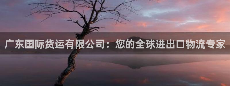 z6com尊龙凯时代理：广东国际货运有限公司：您的全球进