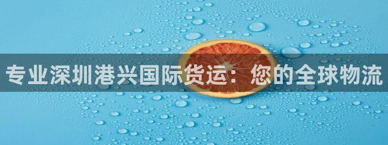 尊龙光学怎么样：专业深圳港兴国际货运：您的全球物流