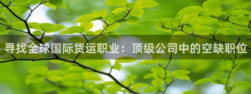 尊龙z6.con：寻找全球国际货运职业：顶级公司中的空缺