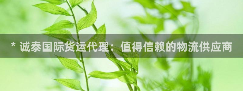 尊龙凯时线下赌场：* 诚泰国际货运代理：值得信赖的物流供