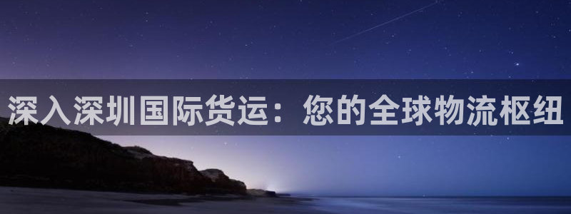 尊龙凯时取款有要求吗：深入深圳国际货运：您的全球物流枢纽