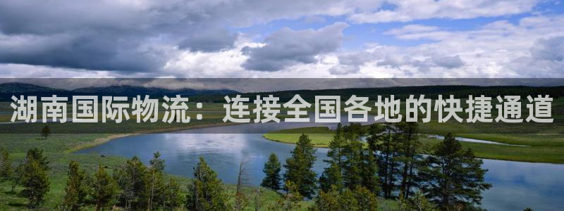 尊龙凯时处理未到账