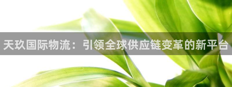 尊龙新版app首页