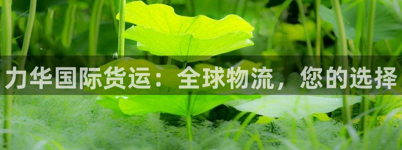 尊龙凯时vip