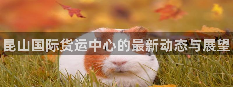 尊龙凯时账号异常审核提不了款怎么办