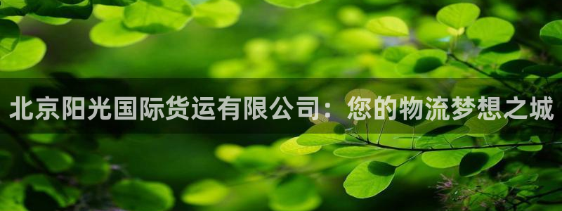 尊龙新版官网网页版