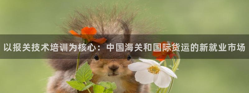 尊龙官网下载