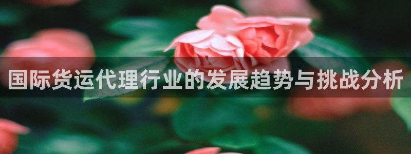 尊龙凯时取款不成功