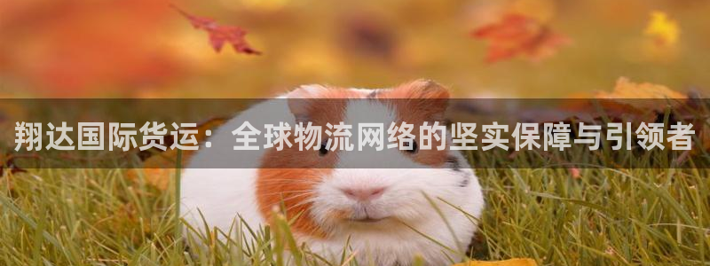 尊龙凯时人生就是搏!官网