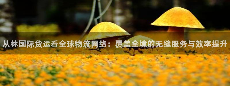 尊龙t500和t300区别