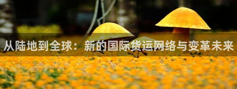 尊龙凯时平台还是万搏好