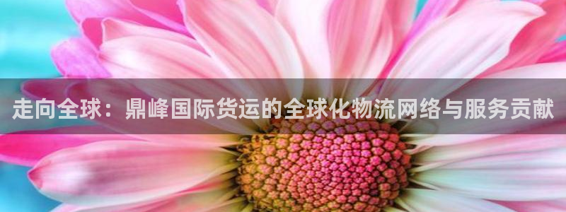 尊龙d88用现推选ag发财网
