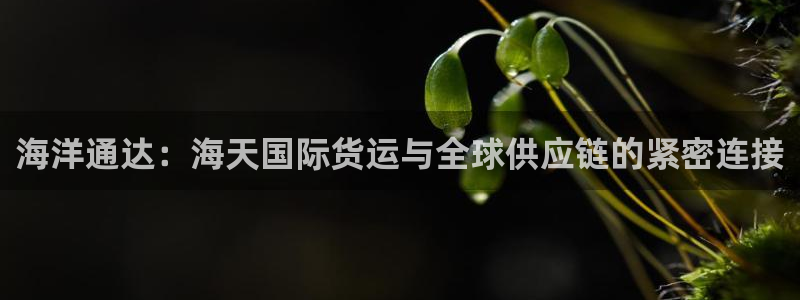 尊龙凯时赢不了