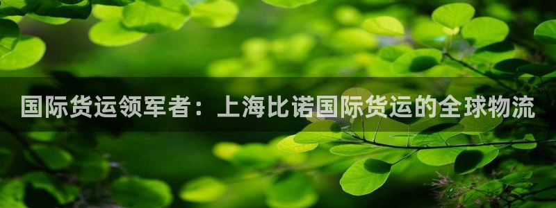 尊龙人生就是博网站：国际货运领军者：上海比诺国际货运的全
