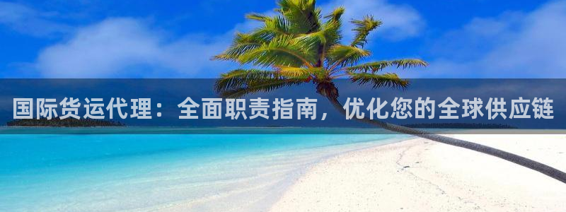 尊龙凯时人生就是博官网登录：国际货运代理：全面职责指南，