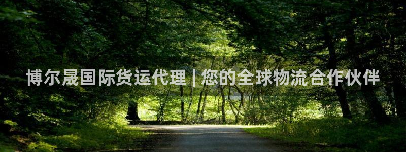 尊龙凯时注册：博尔晟国际货运代理 | 您的全球物流合作伙