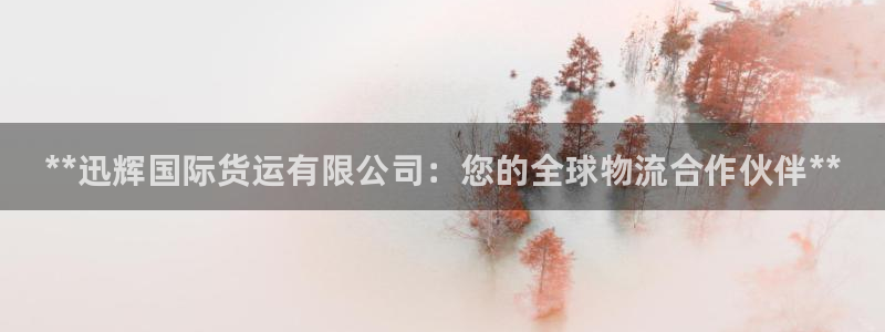 尊龙人生就是博菲律宾台子：**迅辉国际货运有限公司：您的