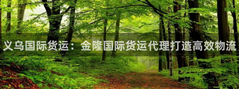尊龙人生就是博AG：义乌国际货运：金隆国际货运代理打造高