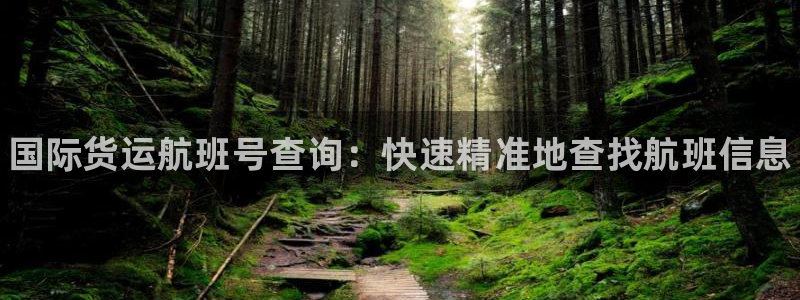 尊龙凯时最新平台登陆：国际货运航班号查询：快速精准地查找
