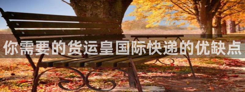 尊龙凯时输了100万：你需要的货运皇国际快递的优缺点