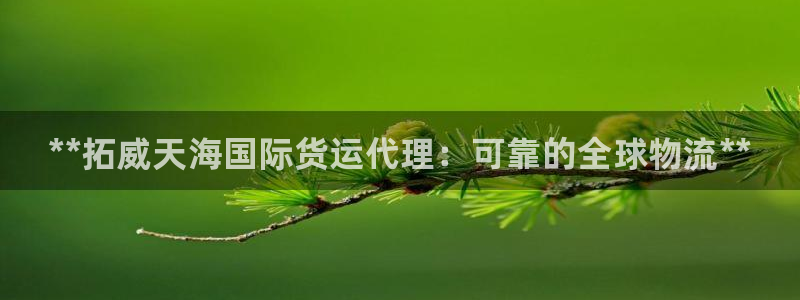 尊龙人生就是博登录准认来就送38：**拓威天海国际货运代