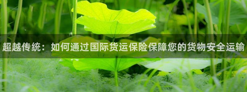 尊龙人生就是博客服